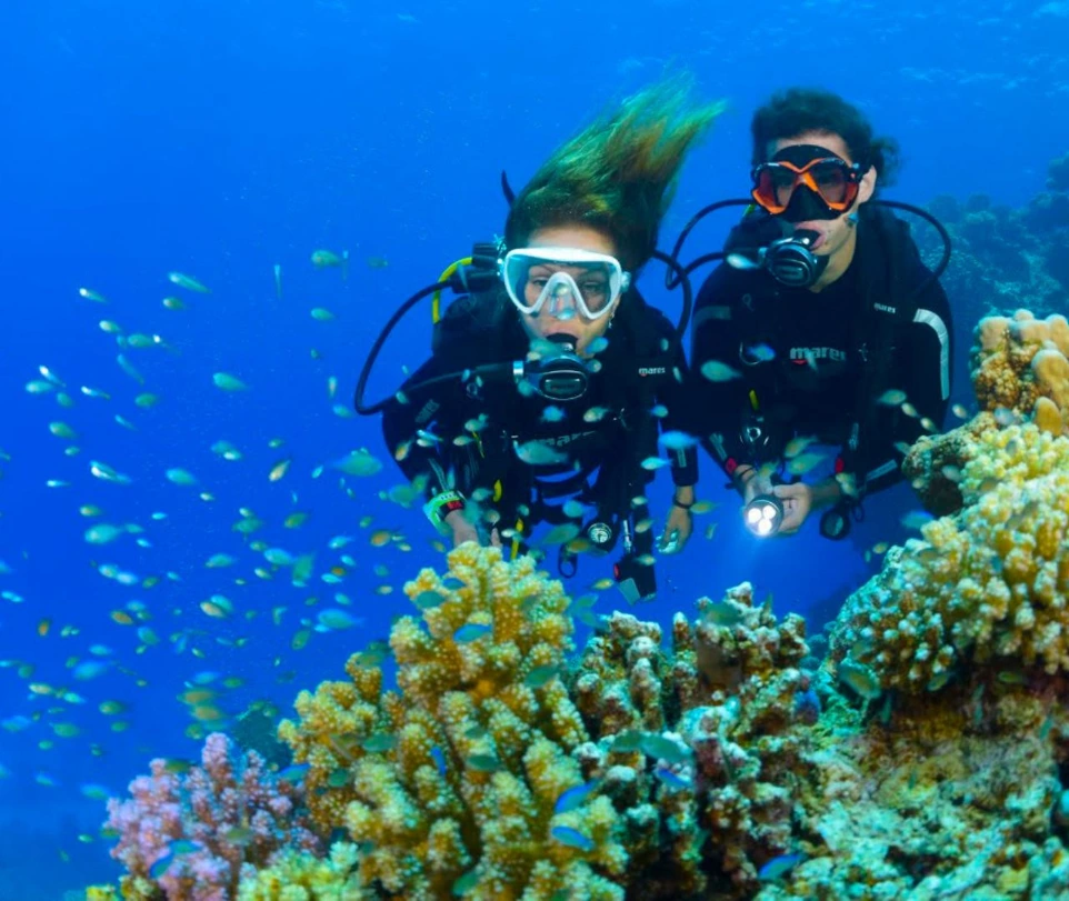 Buceo en compañeros