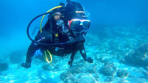 Descubre el buceo costa - DSD - Precio 100€