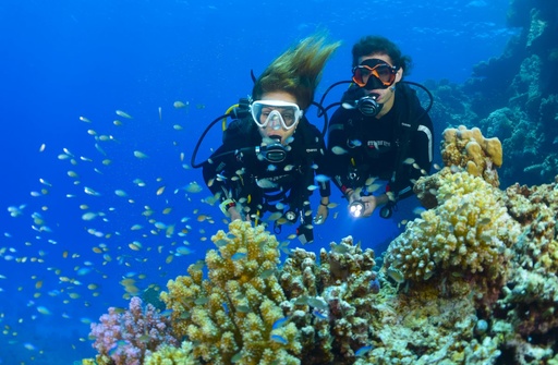 Doble inmersión desde Costa - Precio 75€ - Reserva 50%