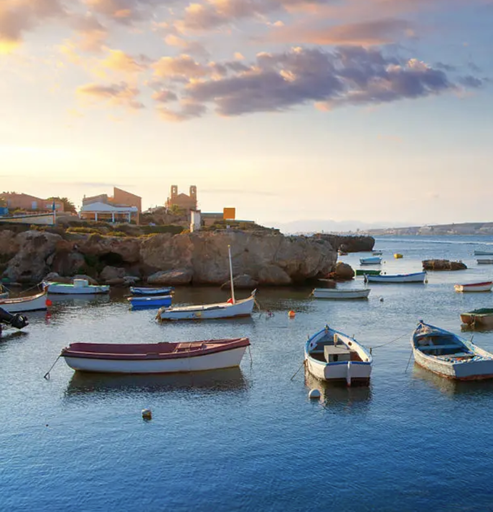 Reserva Marina Tabarca Doble inmersión- Precio 100€