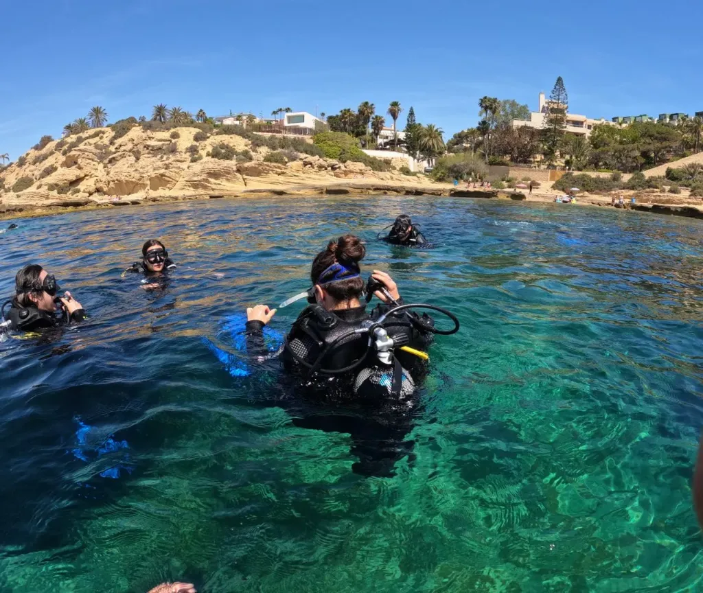 [ESP-3] Pack 3 Especialidades - 740€ - Reserva 50%